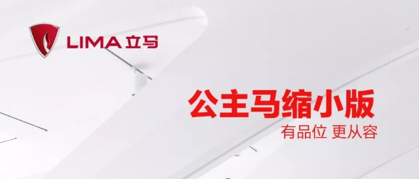 <b>不拘一格！可以个性张扬，也可以很实用，这些车型皆能满足！</b>