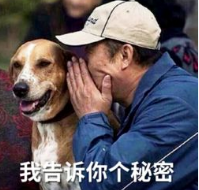 <b>快讯：新日或将有大动作？高薪招聘营销老总，高人气明星代言！</b>