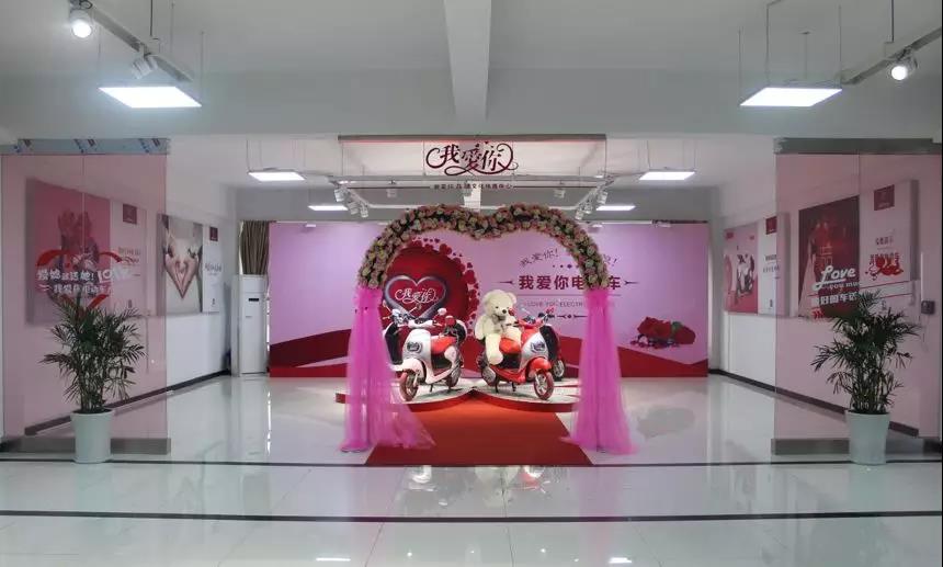 <b>大手笔运作，双品牌同步发力，电动车经销商赚钱更轻松！</b>