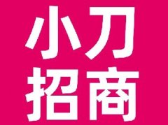 <b>3月没展会，政策不会少，揭秘加盟小刀电动车大福利！</b>
