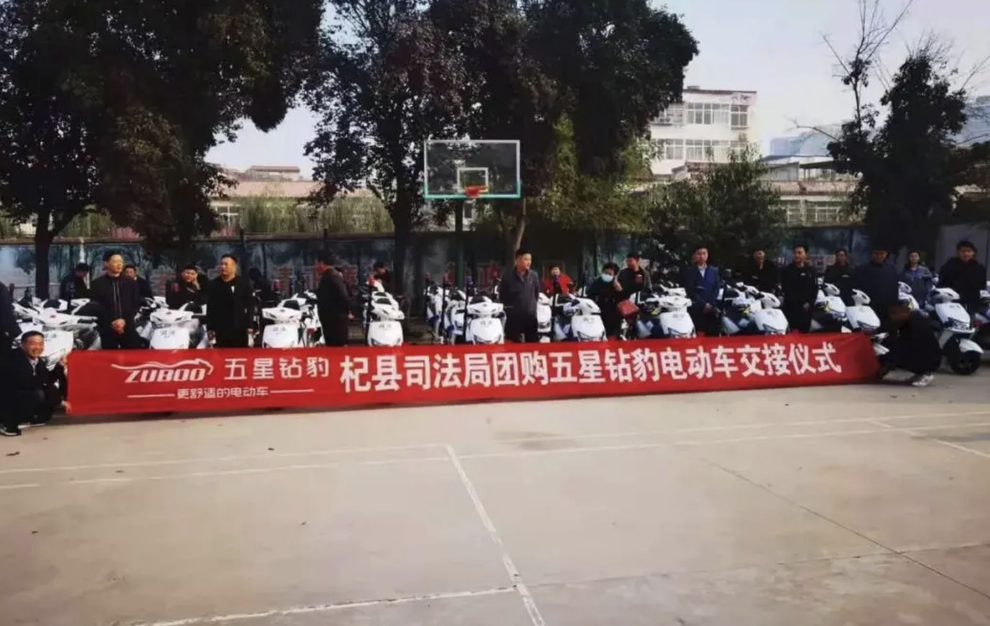 品牌势能爆火，五星钻豹的奥秘竟然在这里！