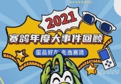 品牌势能及销量双增长，2021赛鸽究竟做了什么？