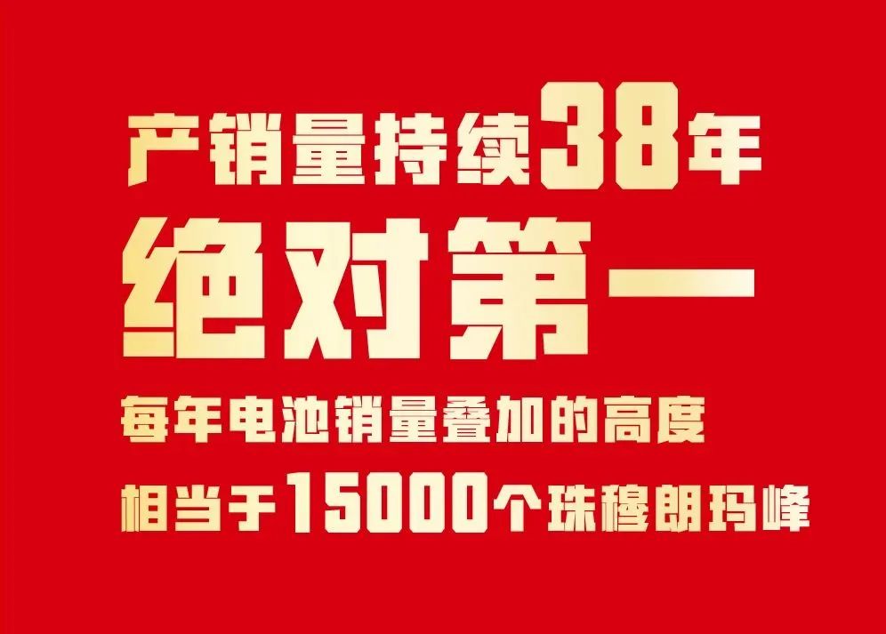 冠军品牌的实力！天能，让共赢商成为最赚钱的经营者！